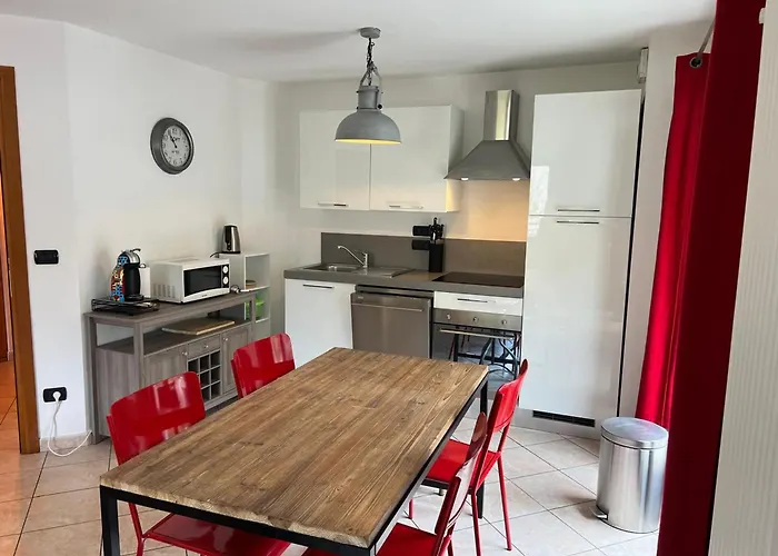 Apartment Au Coeur De Avec Parking Et Animaux Acceptes - Fr-1-343-187